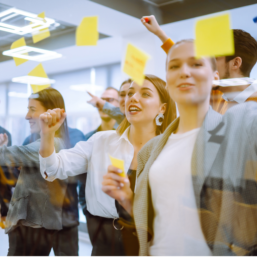 Das Team von sigmavista
